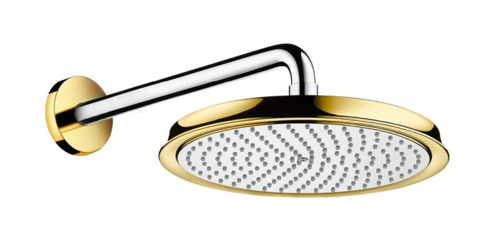 Hansgrohe Raindance Kopfbrause mit Arm 24x24 cm rund chrom-gold 27424090