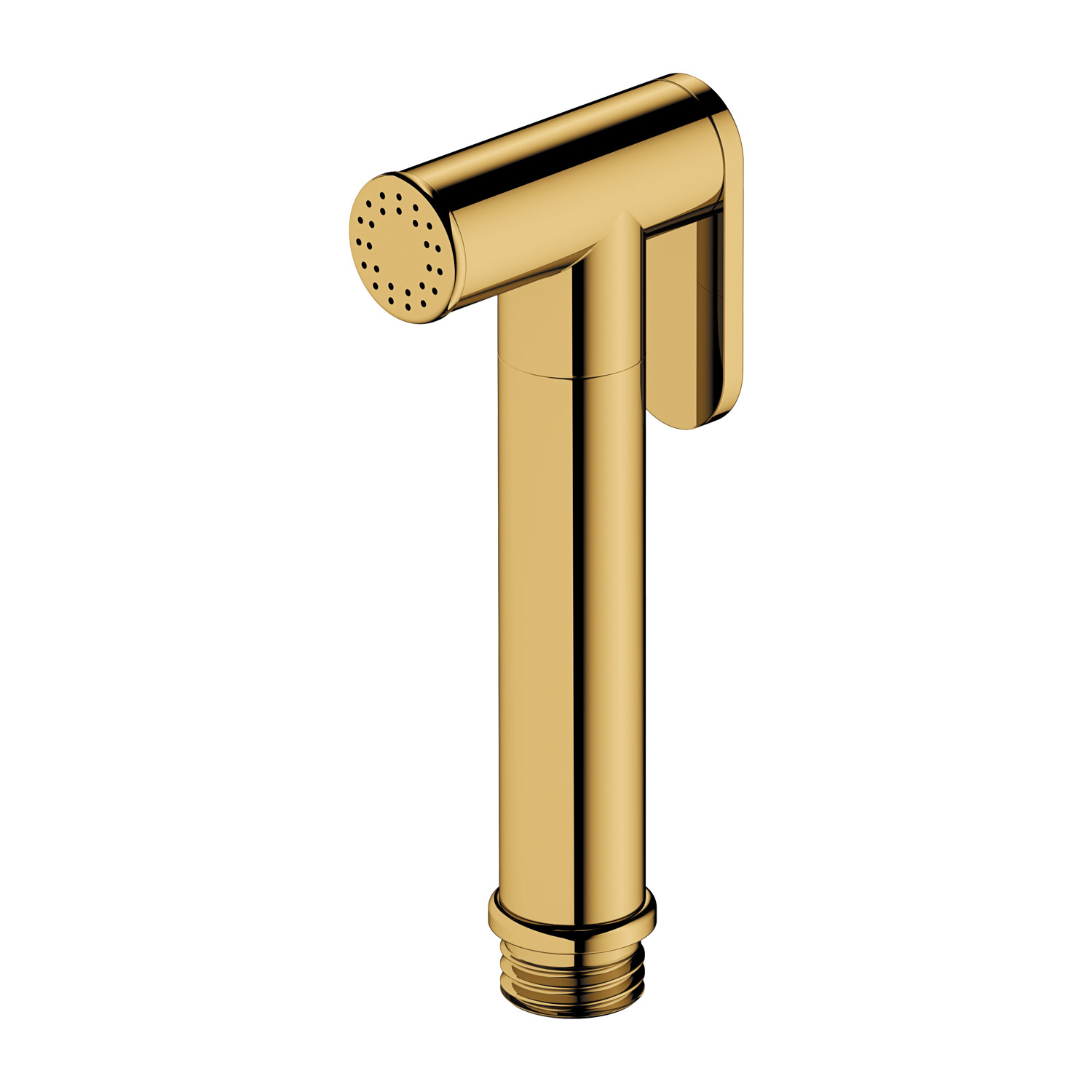 Omnires Bidetta Bidet-/WC-Handbrauseset gold BIDETTA2-RGL