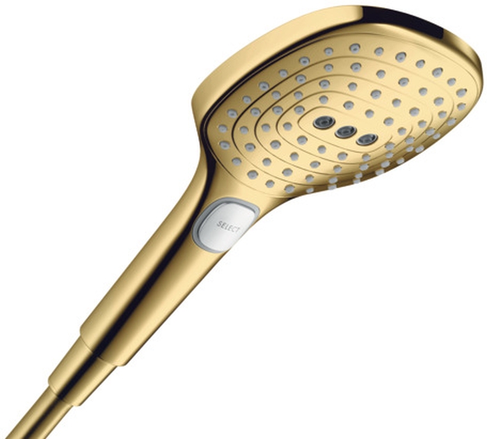 Hansgrohe Raindance Handbrause gold 26520990