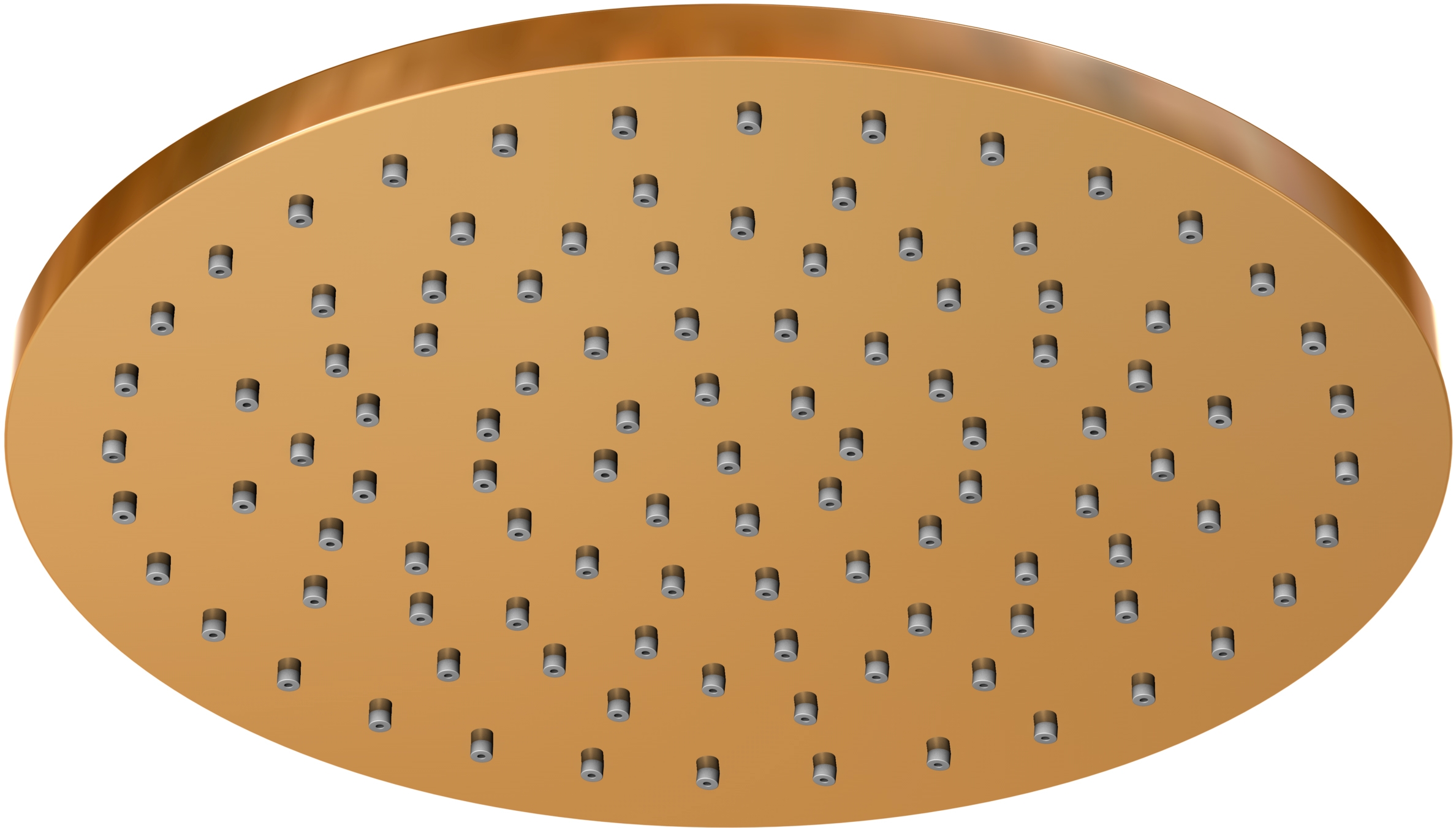 Steinberg 100 Kopfbrause 20x20 cm rund || 1001687RG