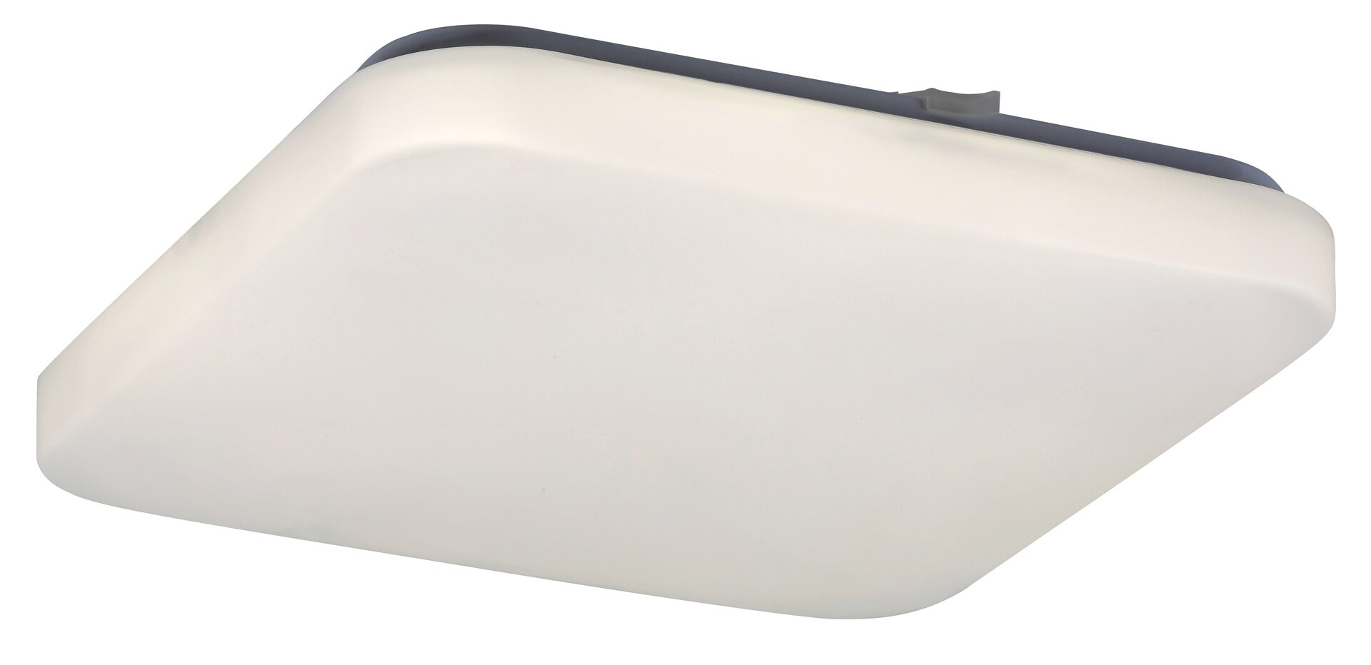 Rabalux Rob Decke 1x20 W weiß 2286