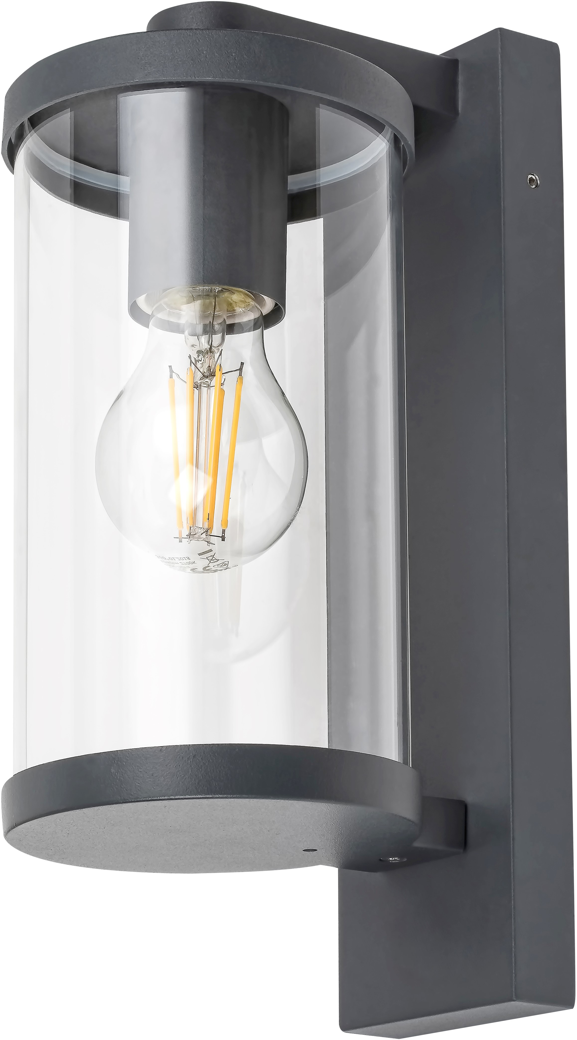 Rabalux Silistra Außenwandleuchte 1x60 W transparent-anthrazit 7891