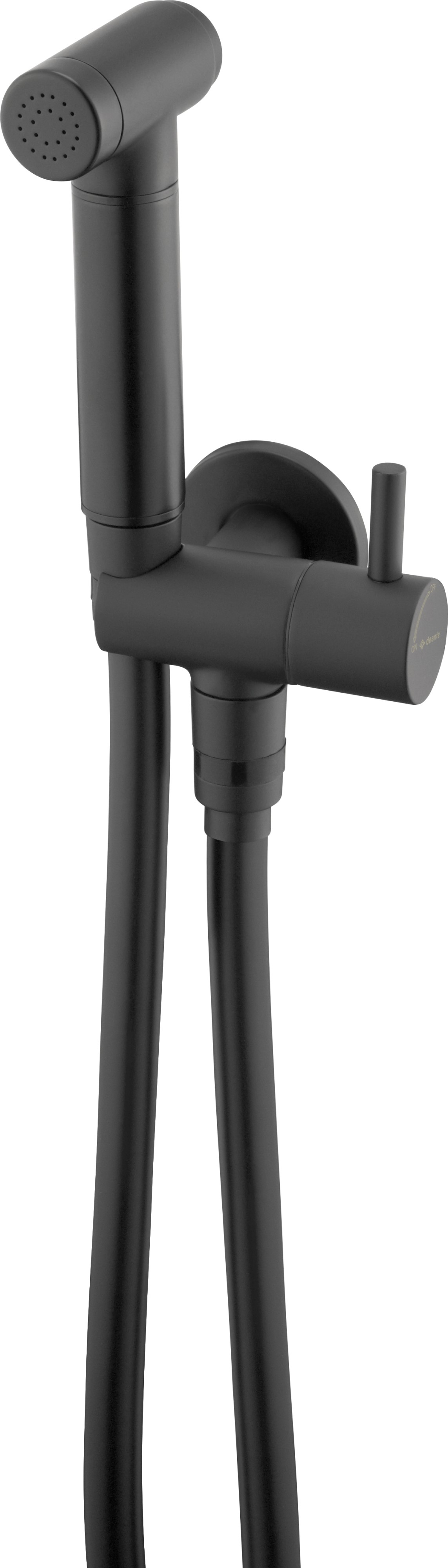 Deante Bidetta Bidet-Duschset Wandmontage schwarz ANW_N51B