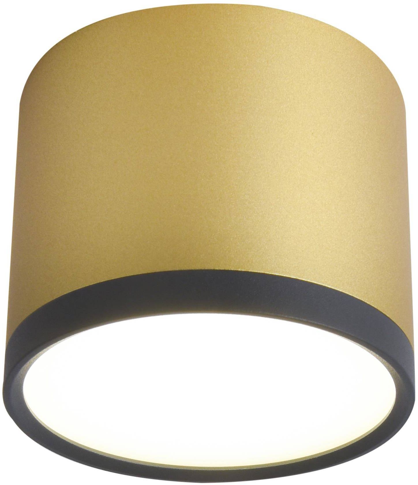 Candellux Tuba Deckenlampe 1x9 W schwarz-gold 2275956