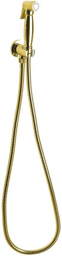 Sapho Bidet-Duschset Wandmontage gold 9105