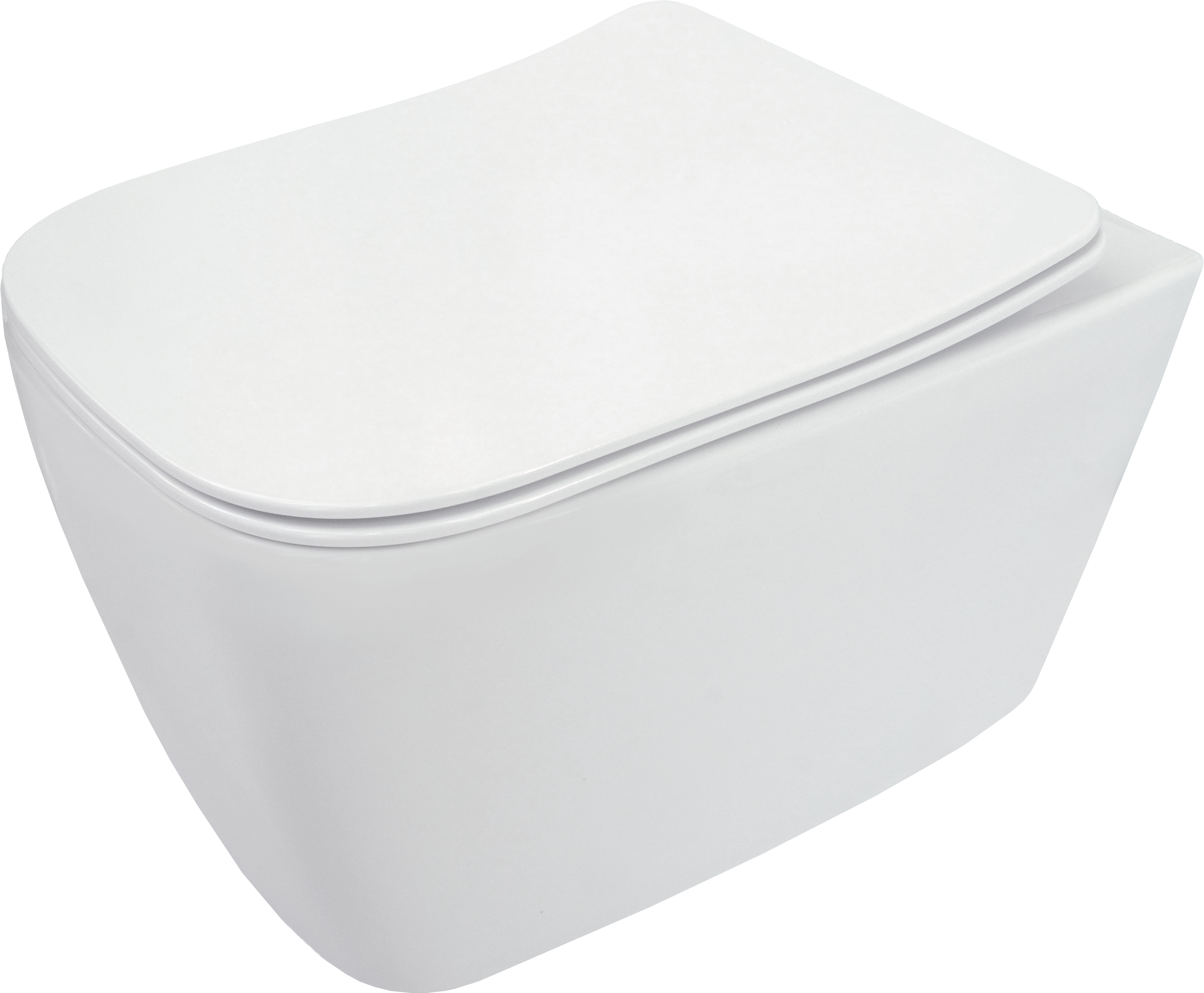 Deante Hiacynt WC-Becken mit Absenkautomatik-Sitz hängend Spülrandlos weiß CDY_D6ZPW