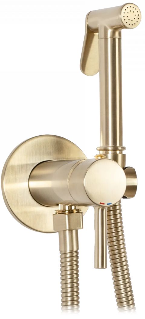 Rea Loop bidet-wasserhahn Unterputz gold REA-B6311