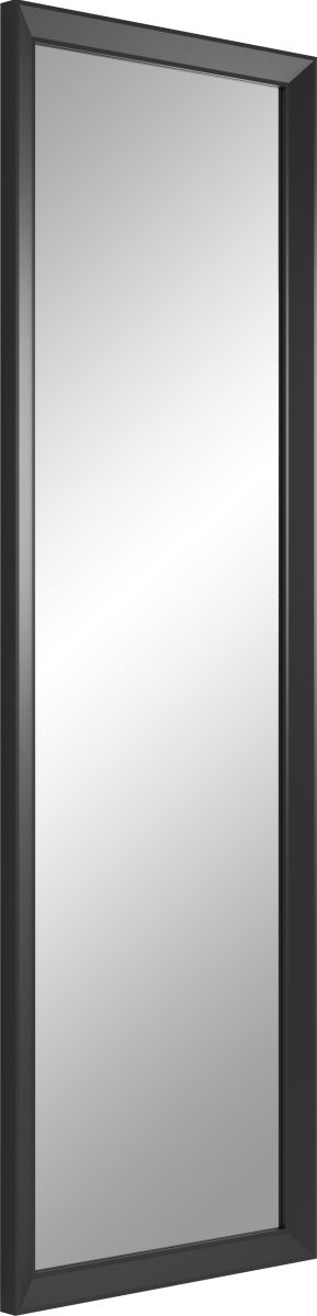 Styler Paris Spiegel 47x147 cm rechteckig schwarz LU-12298