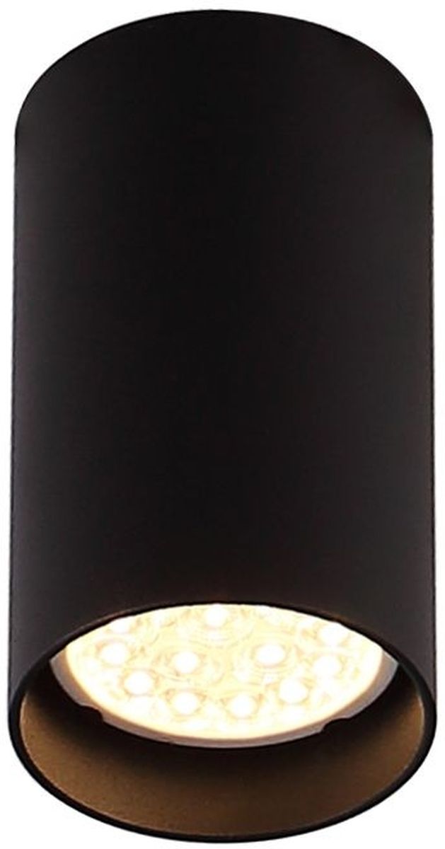 MaxLight Pet Round Deckenlampe 1x50 W schwarz C0142