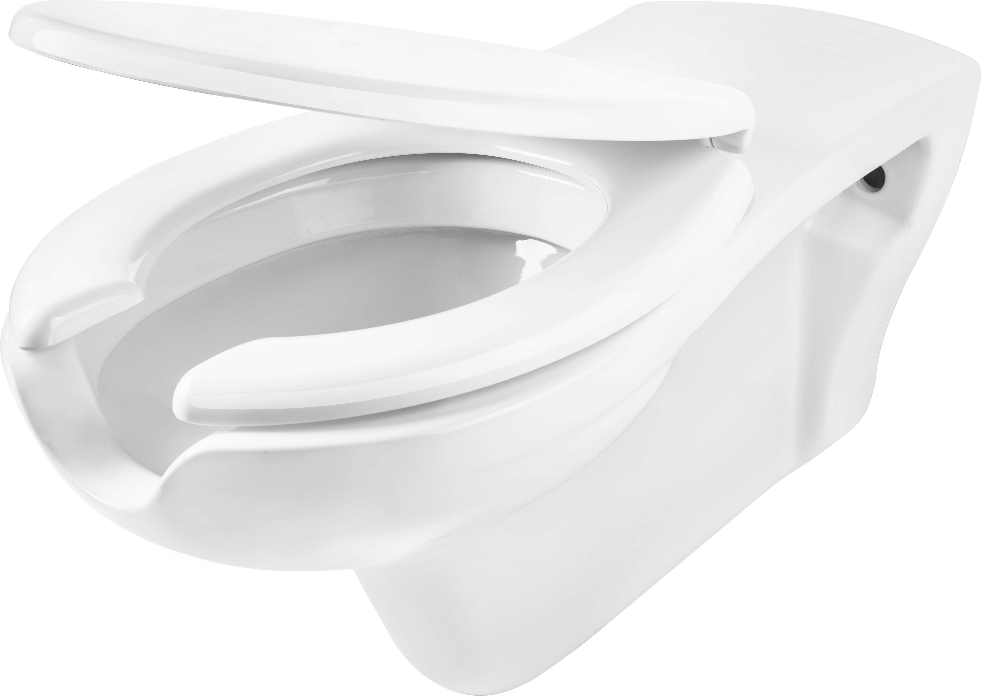 Deante Vital WC-Becken mit Absenkautomatik-Sitz hängend Spülrandlos für Behinderte weiß CDVD6WPW