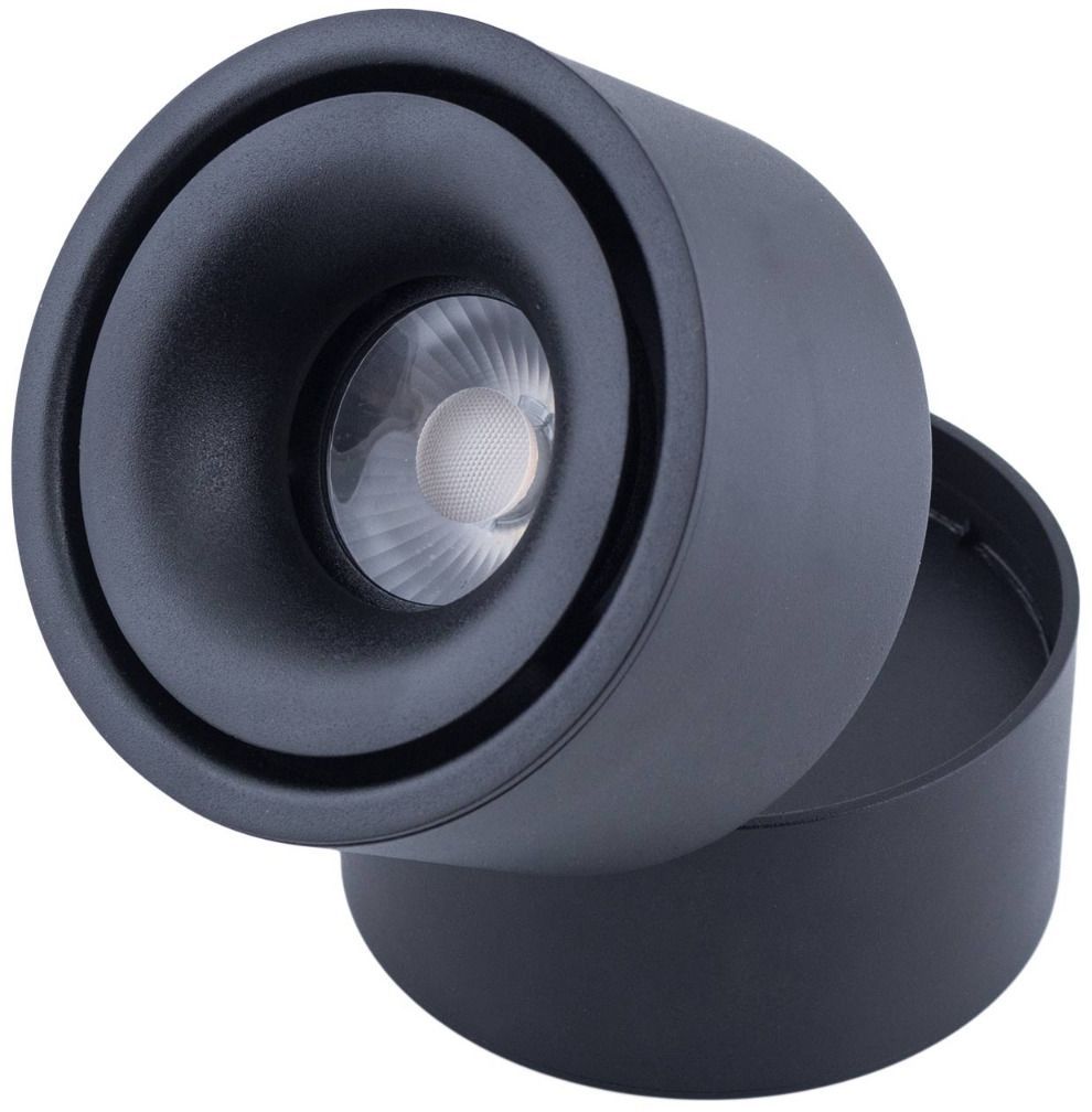 Abigali Commercial Deckenlampe 1x12 W schwarz MZTD-B-12-20WW