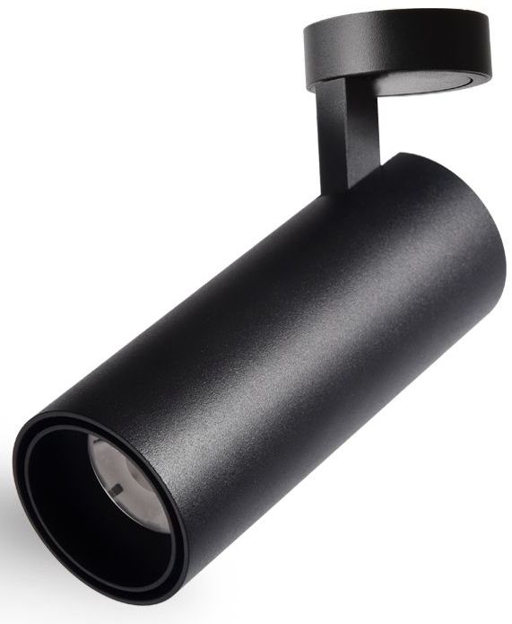 Abigali Commercial Deckenlampe 1x12 W schwarz LWQT-B-12-24WW-DIM