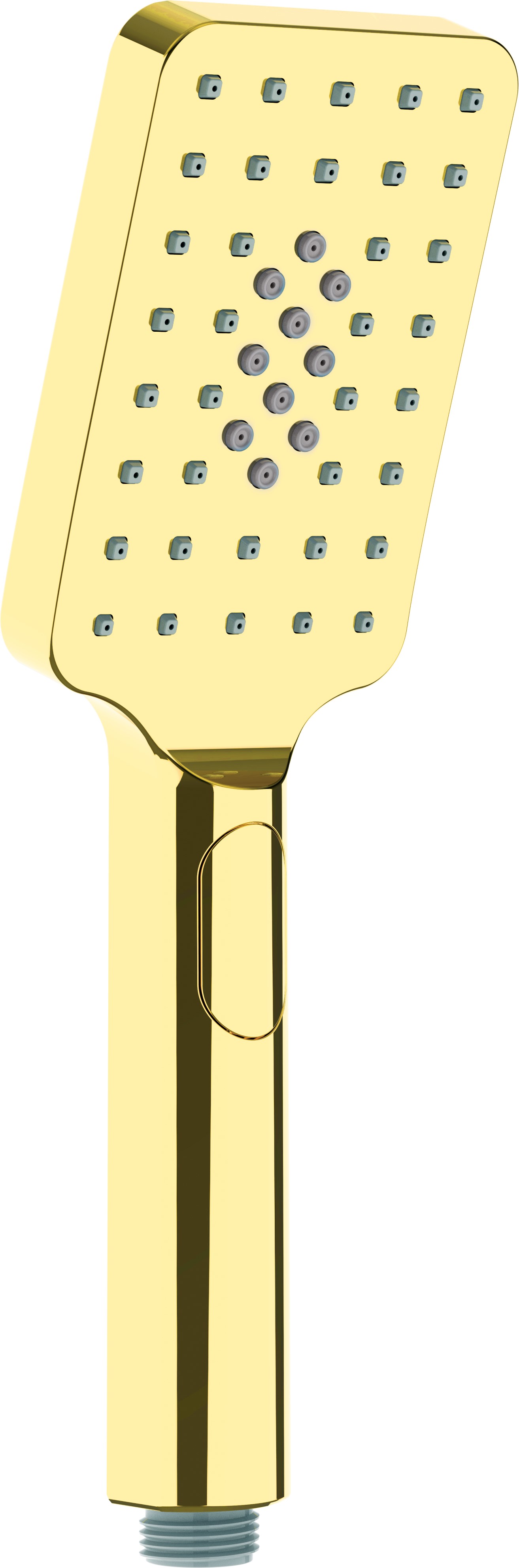 Deante Alpinia Handbrause gold NGA_Z51S