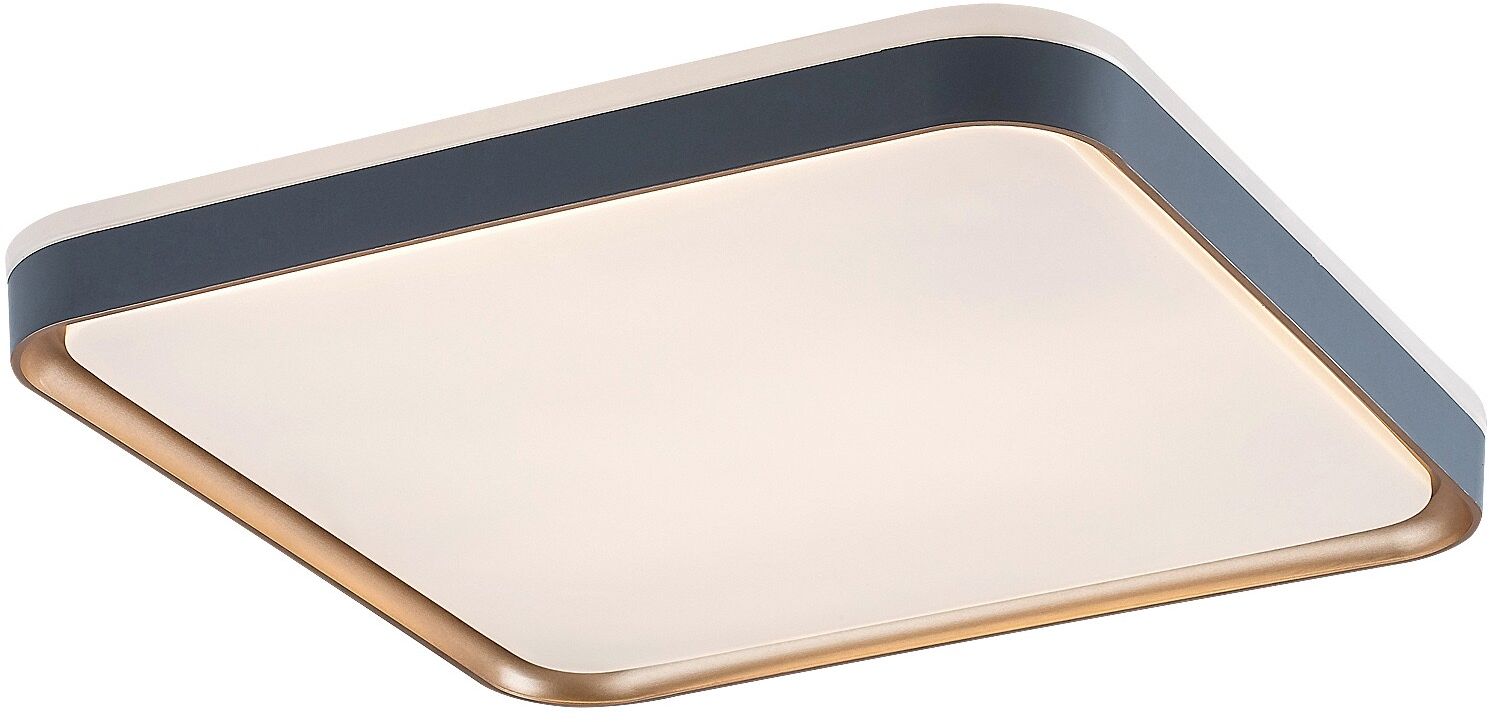 Rabalux Liatris Decke 1x26 W grau 71029