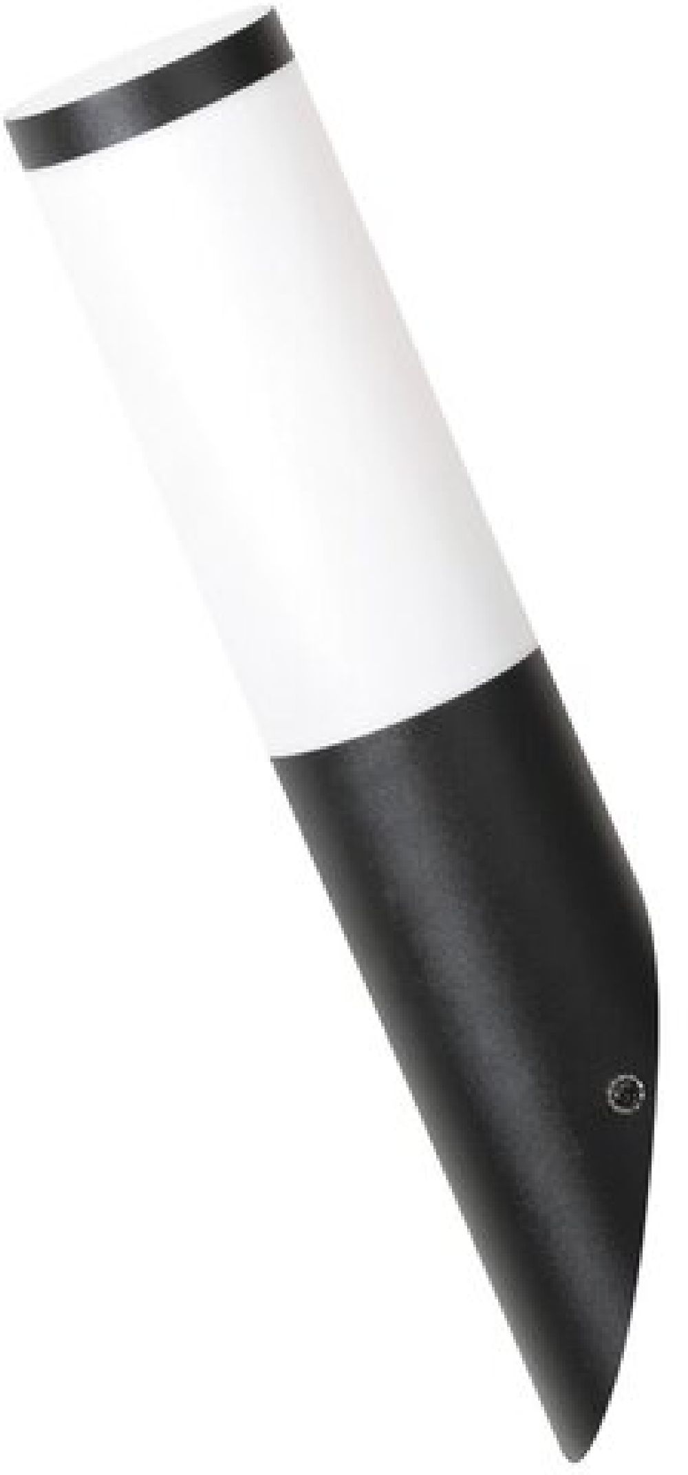 Rabalux Black torch Außenwandleuchte 1x25 W schwarz 8145