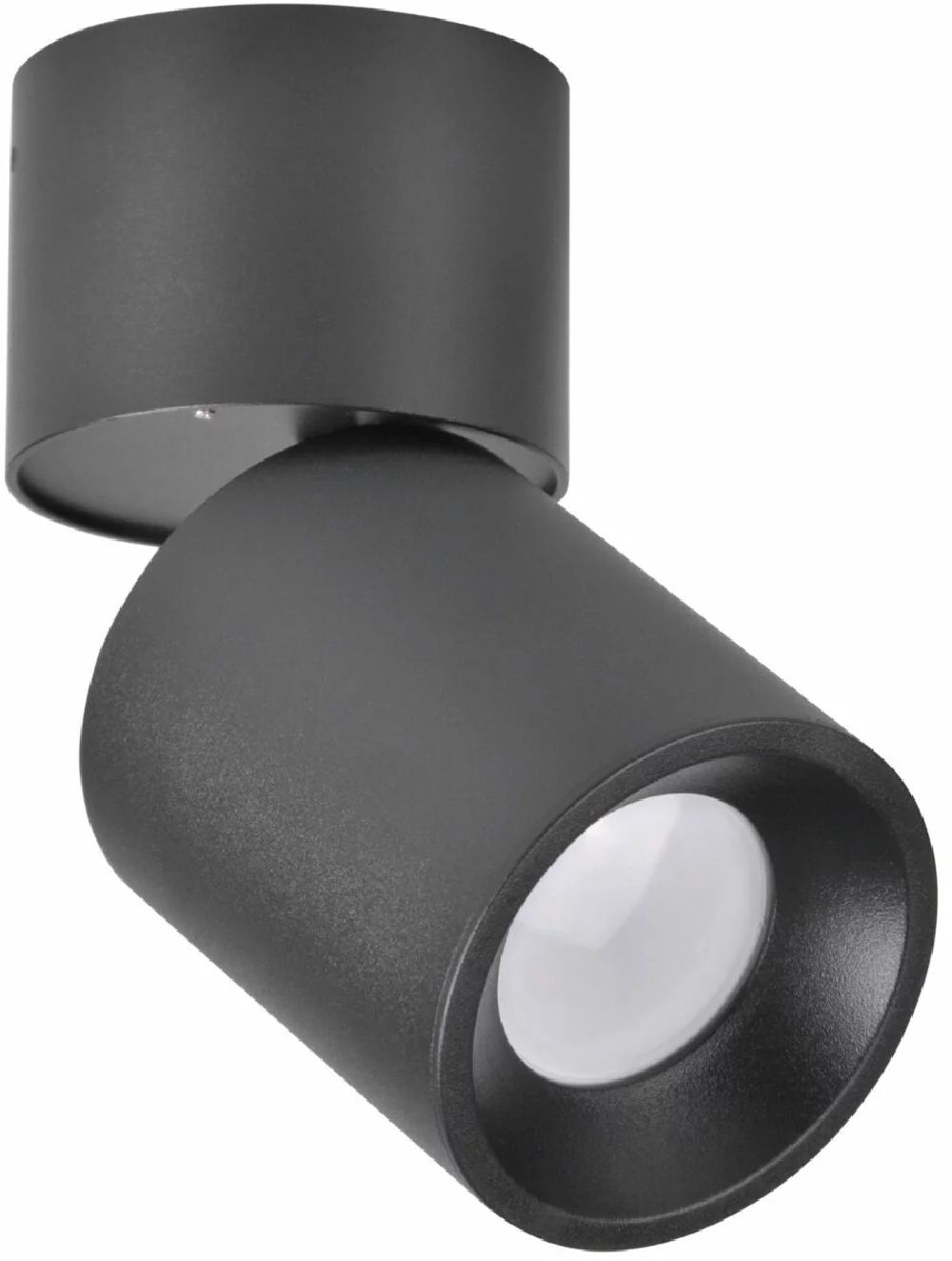 Goldlux Nixa Deckenlampe 1x10 W schwarz 314246
