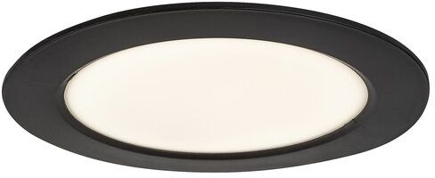 Rabalux Shaun2 Eingebaute Lampe 1x12 W schwarz 71242