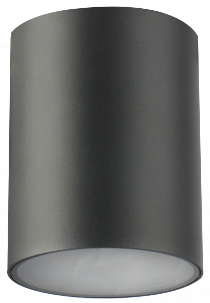 GTV Lento Deckenlampe 1x35 W graphit OS-LEN100OKG-30