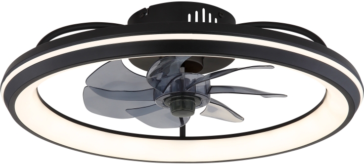 Globo Lighting Celeste Deckenlampe 1x40 W schwarz 03643