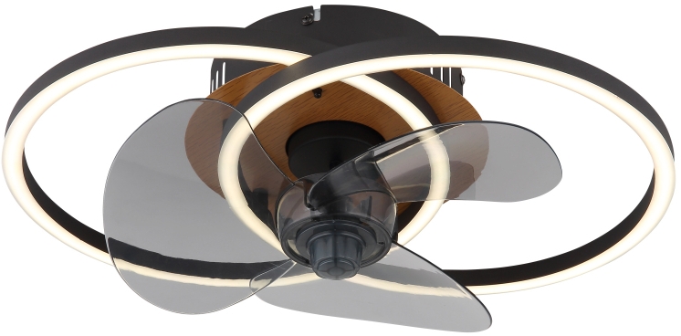 Globo Lighting Karen Deckenlampe 1x24 W schwarz-braun 03661