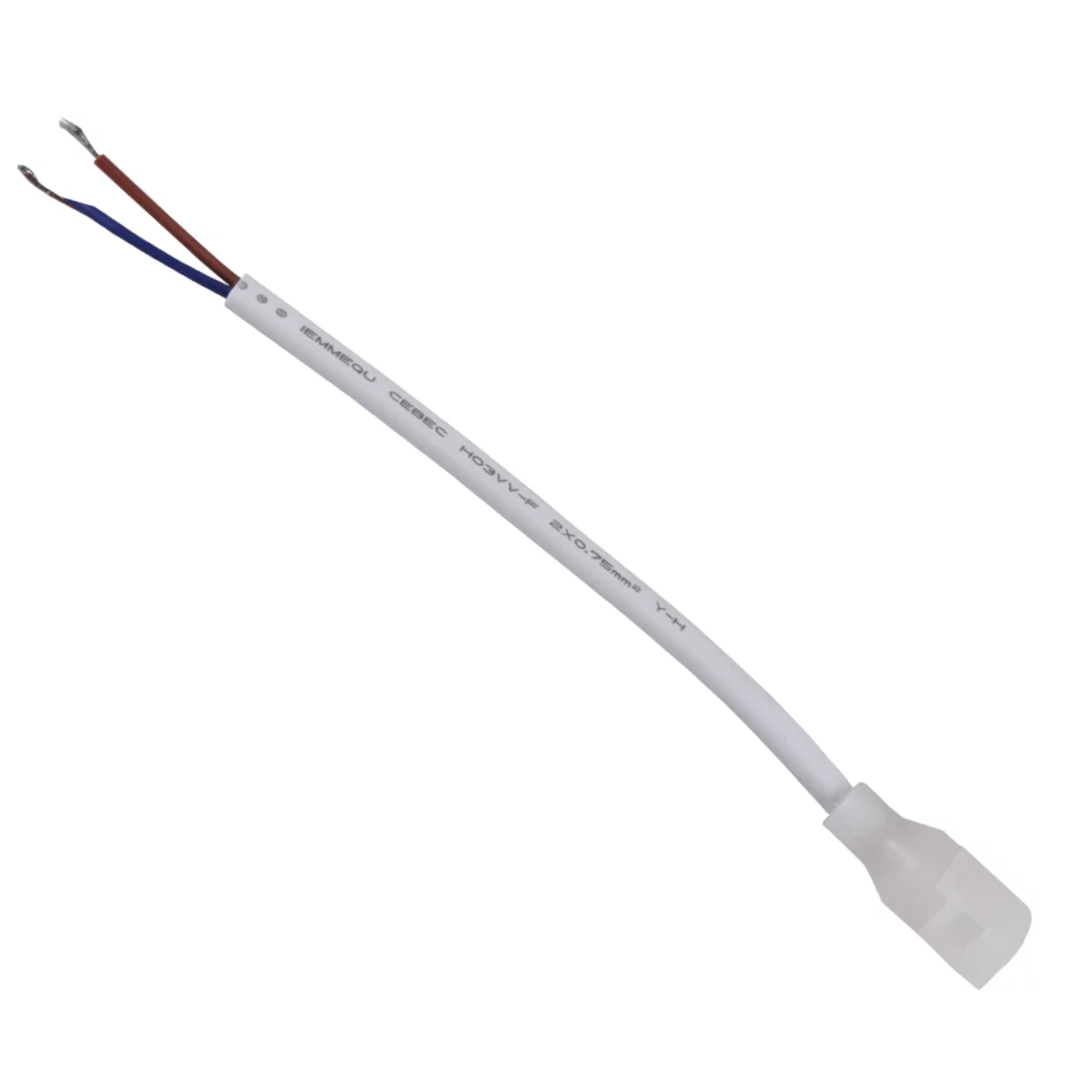 Goldlux Elektroklemme 316554