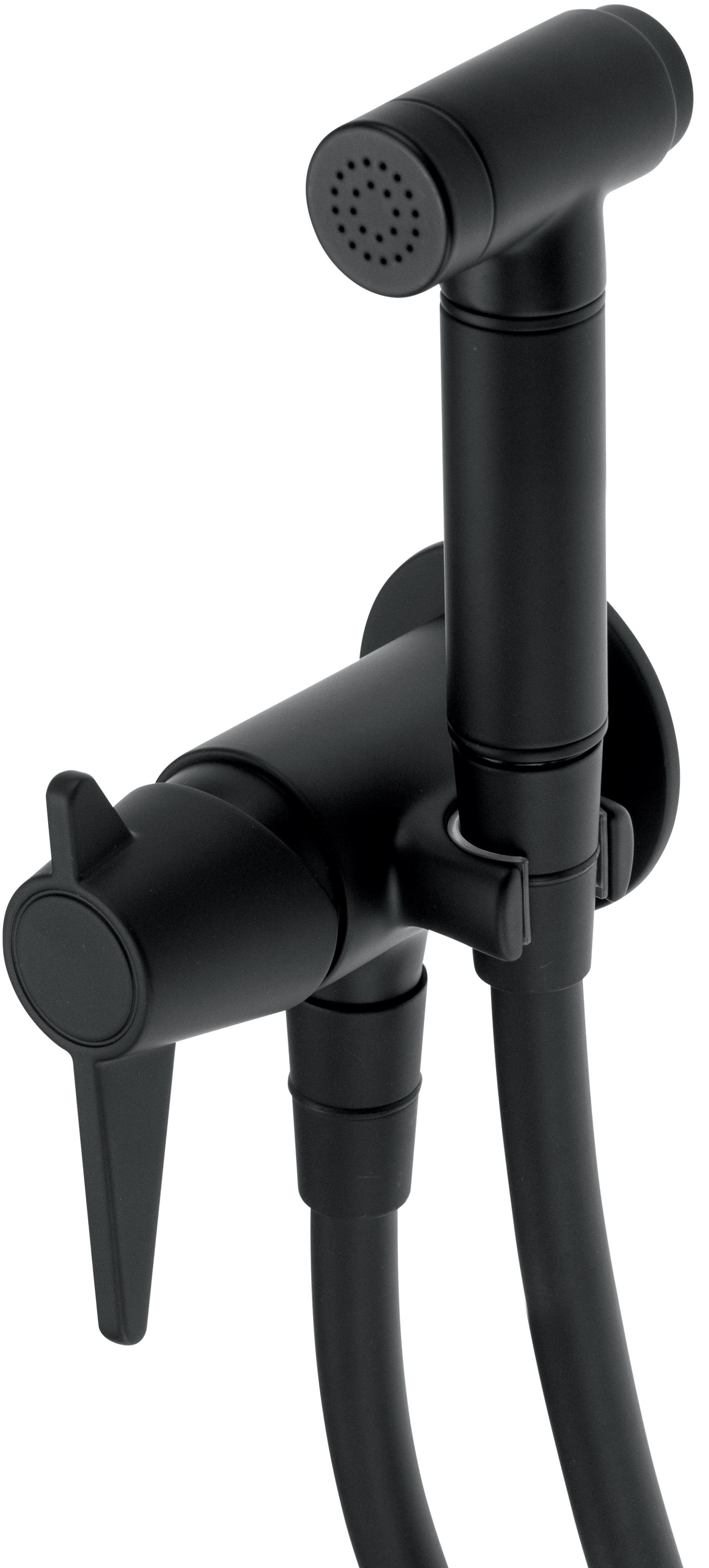 Deante Temisto Bidetarmatur mit Duschset Unterputz schwarz BQT_N34M