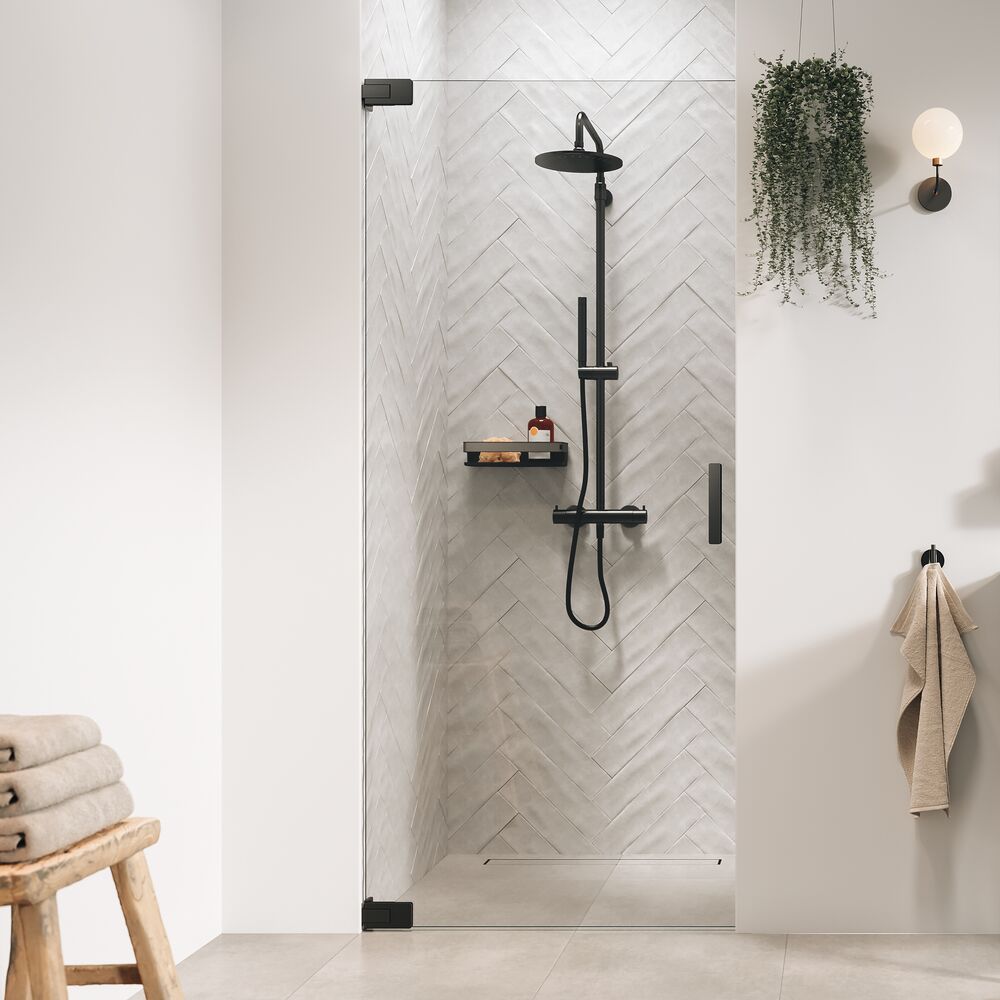 Sealskin Pure Duschtüren 80 cm aufklappbar graphit gebürstet/durchsichtiges Glas PU140806145100