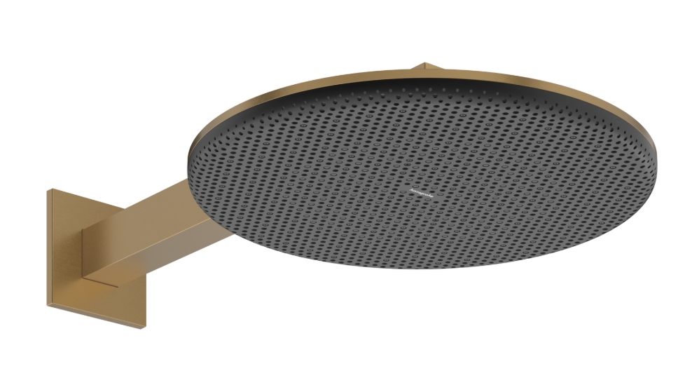 Hansgrohe Raindance Alive S Kopfbrause mit Arm x cm || 24540140