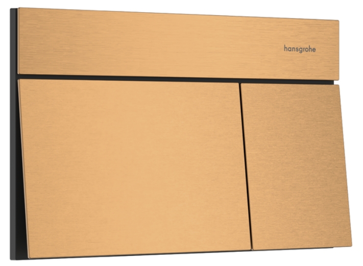 Hansgrohe Element E Betätigungsplatte für Toilette || 66003140