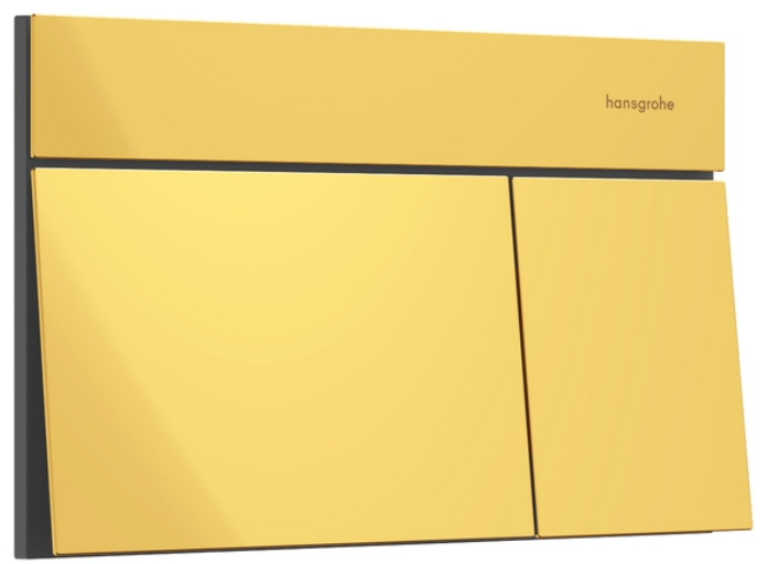 Hansgrohe Element E Betätigungsplatte für Toilette gold 66003990