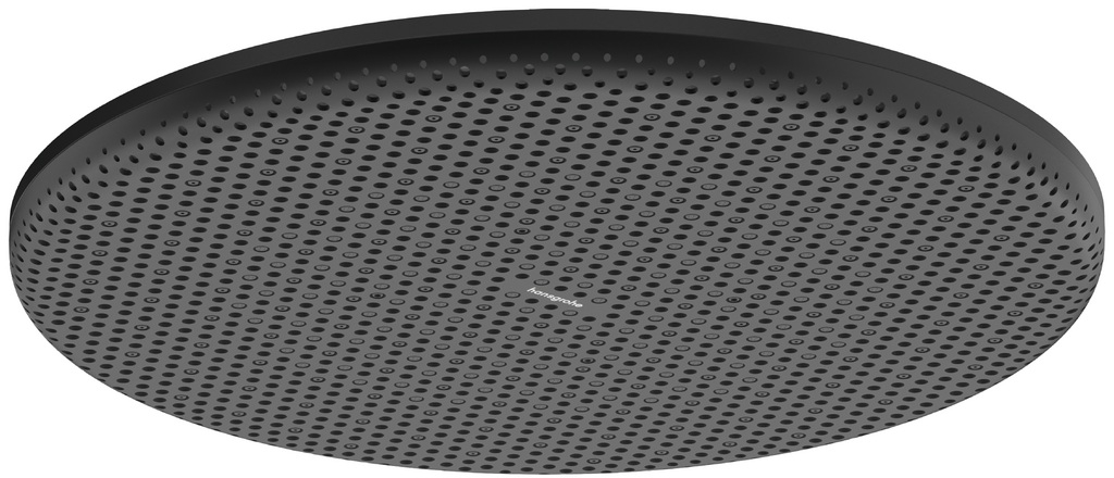 Hansgrohe Raindance Alive S Kopfbrause 30x30 cm rund schwarz 24521670
