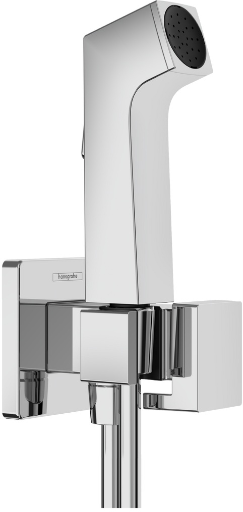 Hansgrohe Bidette Bidet-Duschset Wandmontage chrom 29231000