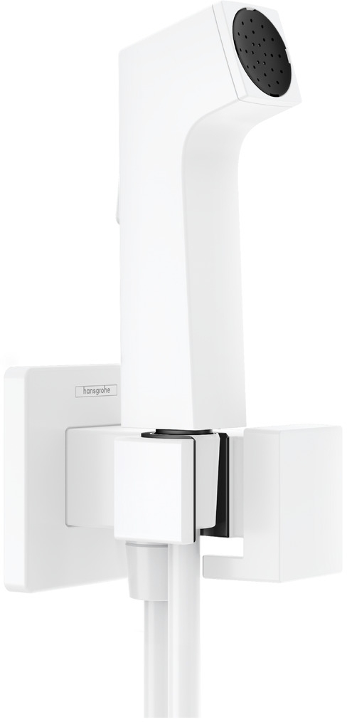 Hansgrohe Bidette Bidet-Duschset Wandmontage weiß 29231700