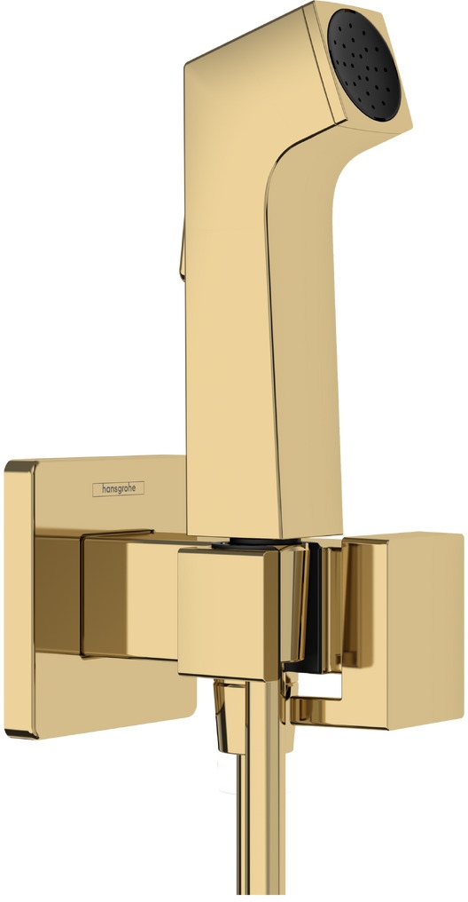 Hansgrohe Bidette Bidet-Duschset Wandmontage gold 29231990
