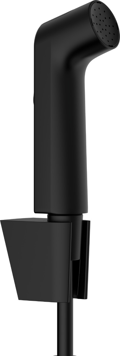 Hansgrohe Bidette Bidet-Duschset Wandmontage schwarz 29238670