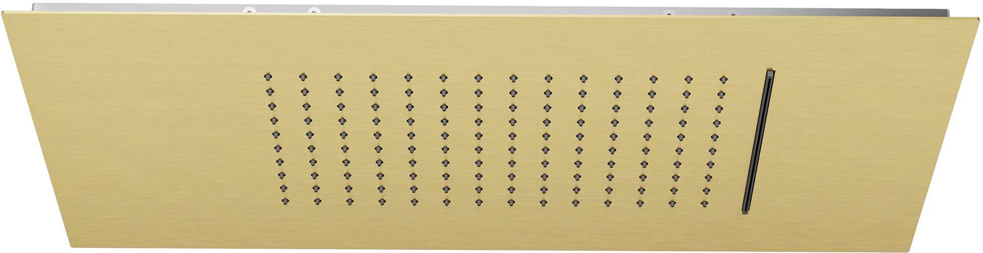 Kludi Asana Kopfbrause 60x30 cm rechteckig gold 69450N0-00