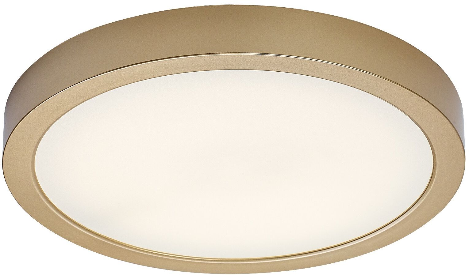 Rabalux Shaun Plus Deckenleuchte für den Außenbereich 1x30 W gold 75079