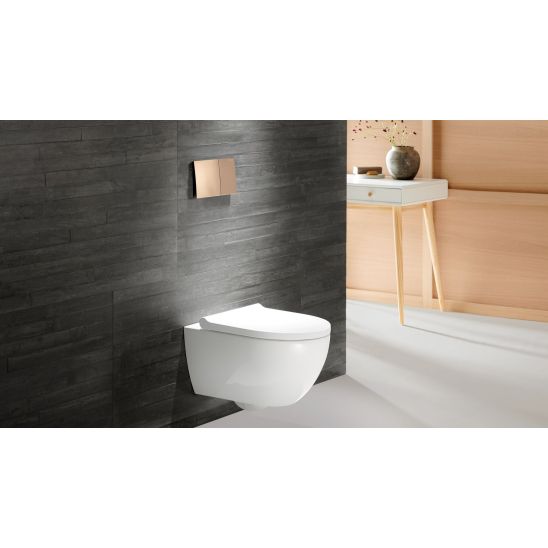 Set WC-Becken mit Absenkautomatik-Sitz Geberit Acanto 502.774.00.8, Unterputzrahmen Geberit Duofix 111.320.00.6, 111.815.00.1, 156.050.00.1