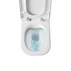 Set WC-Becken mit Absenkautomatik-Sitz Roca Nexo A34H64L000, Unterputzrahmen mit Knopf und Dichtung Oltens Triberg 58300100