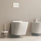 Set Unterputzrahmen Tece Base 9400407, WC-Becken mit Absenkautomatik-Sitz Omnires Fontana FONTANAMWBP, 9.240.400
