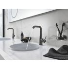 Set Betätigungsplatte Grohe Skate 38732AL0, Klobürste Grohe Essentials 40374AL1, 40367AL1, 40369AL1, 40365AL1, 40394AL1, 40364AL1