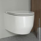Set WC-Becken Oltens Holsted 42516000, WC-Sitz Oltens Holsted 45112000