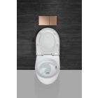 Set WC-Becken mit Absenkautomatik-Sitz Geberit Acanto 502.774.00.1, Unterputzrahmen Geberit Duofix 111.003.00.2, 111.815.00.1, 156.050.00.1