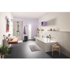 Set Betätigungsplatte Grohe Even 38966KF0, Klobürste Grohe Start 411852430, 412002430, 411732430