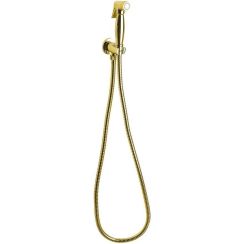 Sapho Bidet-Duschset Wandmontage gold 9105
