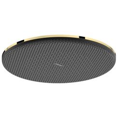 Hansgrohe Raindance Alive S Kopfbrause 30x30 cm rund gold 24523990